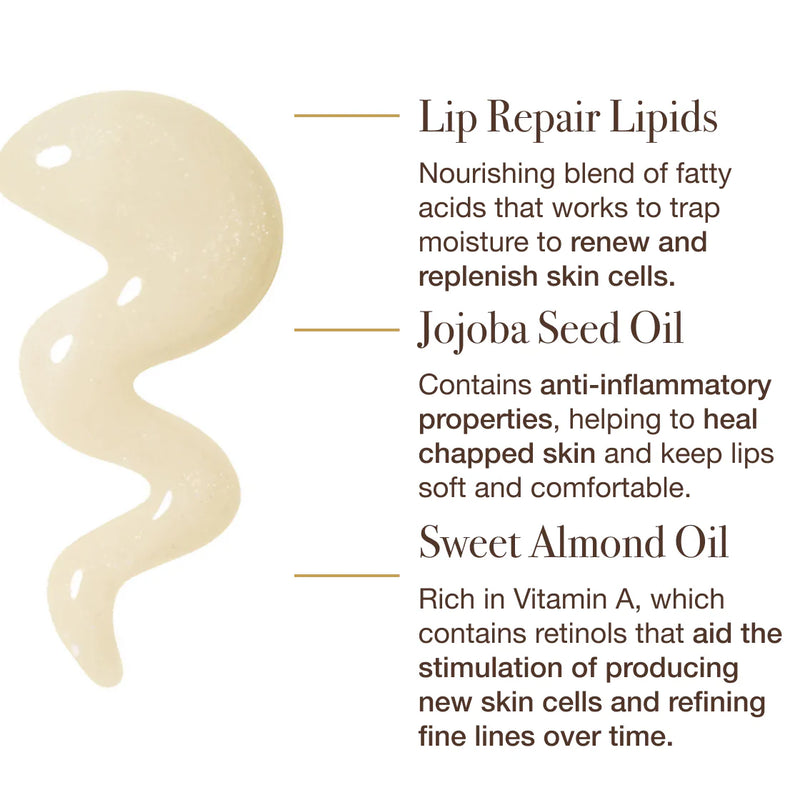 Sara Happ The (Day) Dream Slip