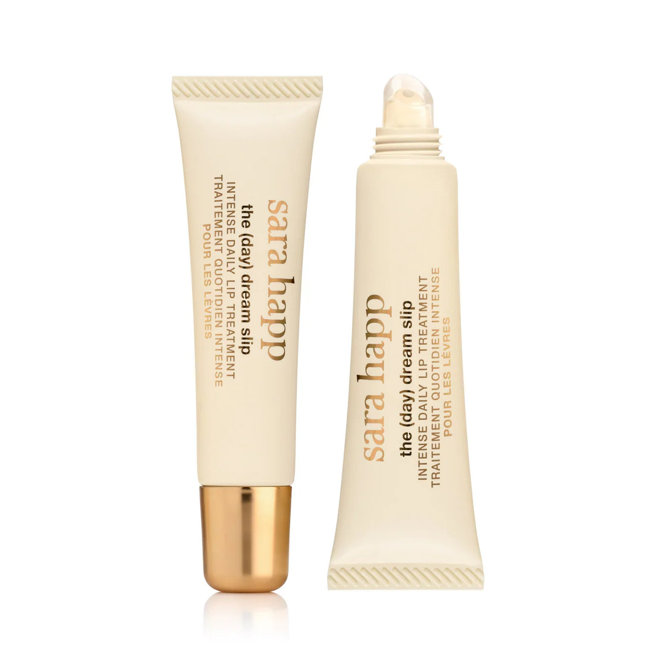 Sara Happ The (Day) Dream Slip