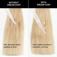 Color Wow Dream coat Supernatural Spray